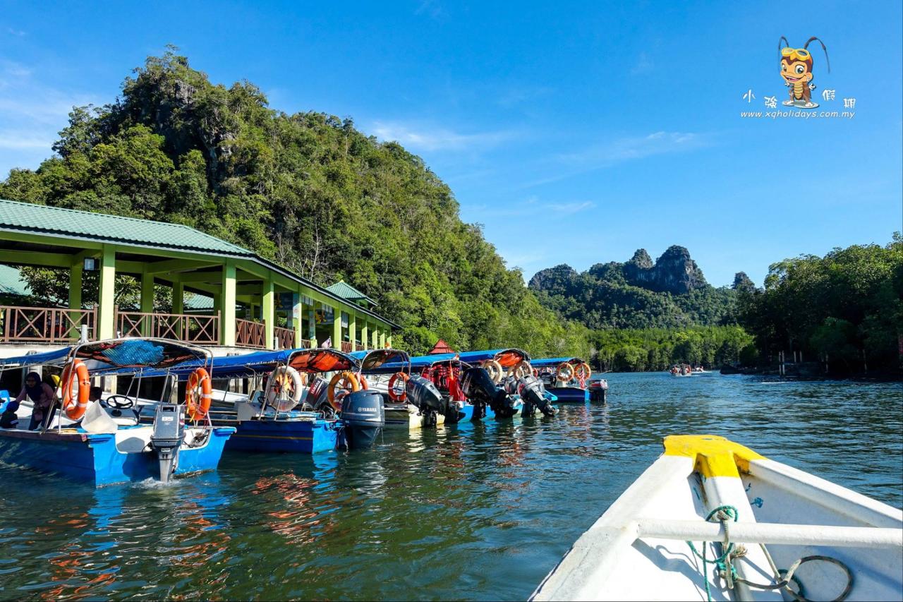 Jelajahi Mangrove Tour Langkawi: Surga Ekosistem yang Tersembunyi